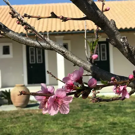 Tamaris Beach House Acharavi  Exterior photo