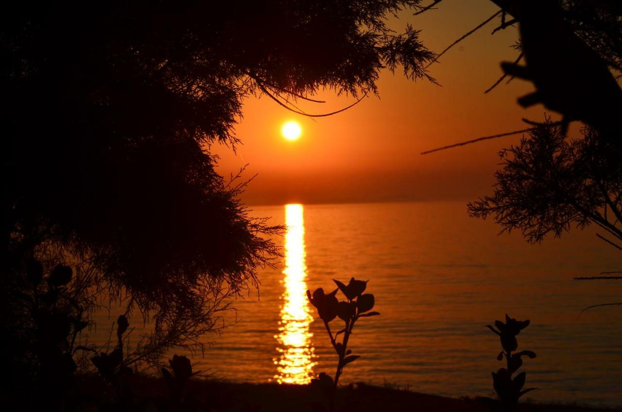 Tamaris House * Acharavi (Corfu)